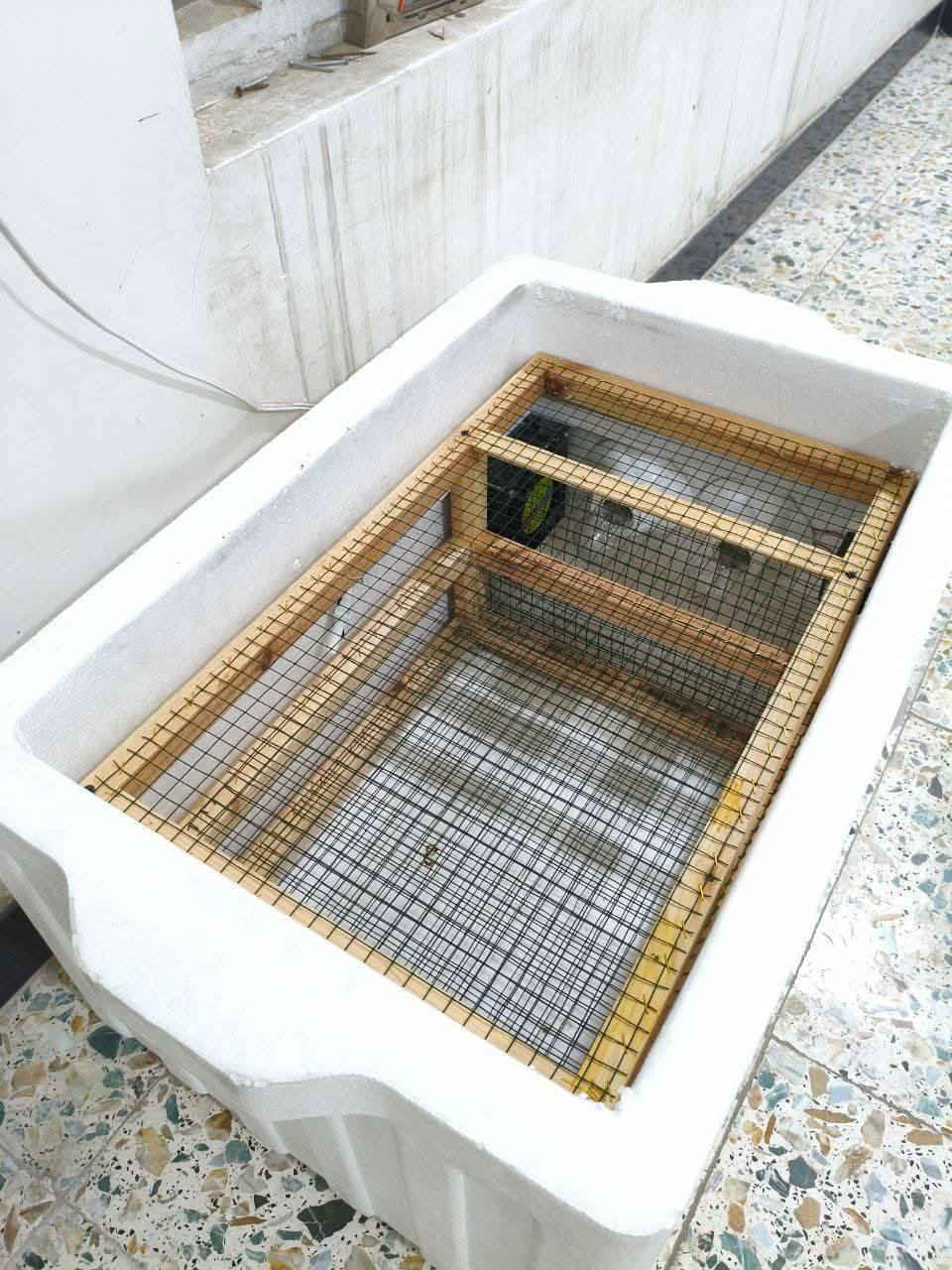 متوفر فقاسات تصنيع يدوي
تاخذ بيض من 80لل150بيضه 
س75
مكاني شامية


**إذا كنت صاحب هذا الإعلان وتريد حذفه لأي سبب، رجاءا أرسل رسالة إلى الدعم الفني**