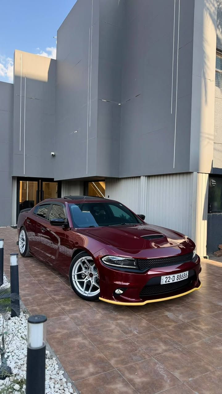 𝗗𝗢𝗗𝗚𝗘 𝗖𝗛𝗔𝗥𝗚𝗘𝗥🥇
🔥RT / black toop / 

نوع السيارة: [ دودج جارجر ] 
الموديل: [ 2022 ] 
المحرك: [ V8 - 5700 ]]
ماشيه : [ 13,500 الف ميل بعدها بحالة الوكالة ]
لون السيارة : [ كرزي]

[ الـــــمـــواصــفـــــات فول ]

- - [ كشنات كنتارا حضن ] 
- - كشنات تدفئة + تبريد 
 - - كشن خلفي تدفئة
- - كشنات خزن ميموري
- - شاشة كبيرة كار بلي 
- - كاميرا
- - تشغيل عن بعد 
- - ويل 20 روهانا
- -  سستم صوت هارمن كاردن
- -  شفتات ستيرن 
- - نظام سوبر تراك باك
- - حساس خلفي 
- - رادار جانبي [ نقطة عمياء ] 
- - ستيرن كهرباء + تدفئة
- دشبول خياط الجديد 
-هيتر مري جانبية 
‎-تغليف ppf السيارة بالكامل
-عازل حراري لزجاج السيارة

الحادث ( كما موضح بالصور  مكفولة من البارد و الحار )
رقم التواصل *********** بي واتساب
