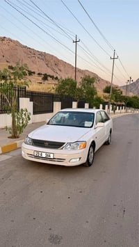 افلون خليجي • ٢٠٠٢ • بدون صبوغ