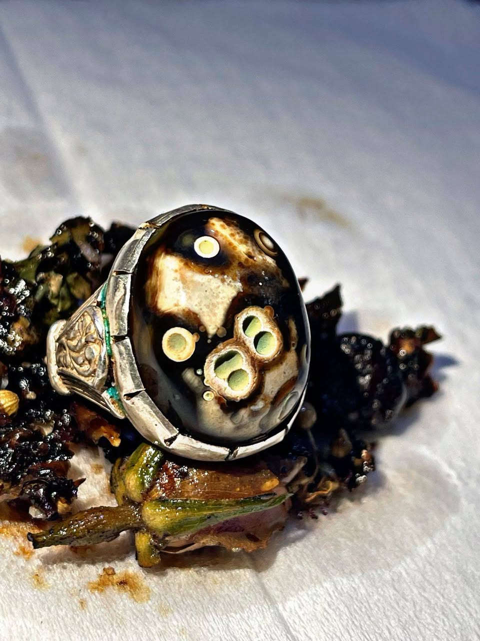 يا الله يا الله يا الله ( نفائس الداودي هندي عطف )
علوها بلصلاةة ع محمد وال محمد 🔥💙
#نحن_اهلها_اين_ما_كانت 
وحوش رععب فول يا فوول نوادر الداودي نوادر الزمان جوكر وفول روحانية عالية وخدمة عاليه🔥😈 
 
مشروط بضمان 
(محبة عامه نساء ورجال جداً قوية /جلب القلوب /تسيهلات عامة/جاة وجه وعقد لسان جدا قوي / دوائر دولة / منكل دواوين )

 كل تصاريف مفتوحة  شغل عععععام جوكر 🪨🔥🌪
من الياء ......للنون
سعر خاص واني خادم

اخوكم ايناس الموسوي 🔥
جبل الاحجار 🗻🌪🔥

للتواصل ***********
