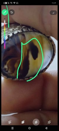 عقيق يماني • فضة 925 • البصرة