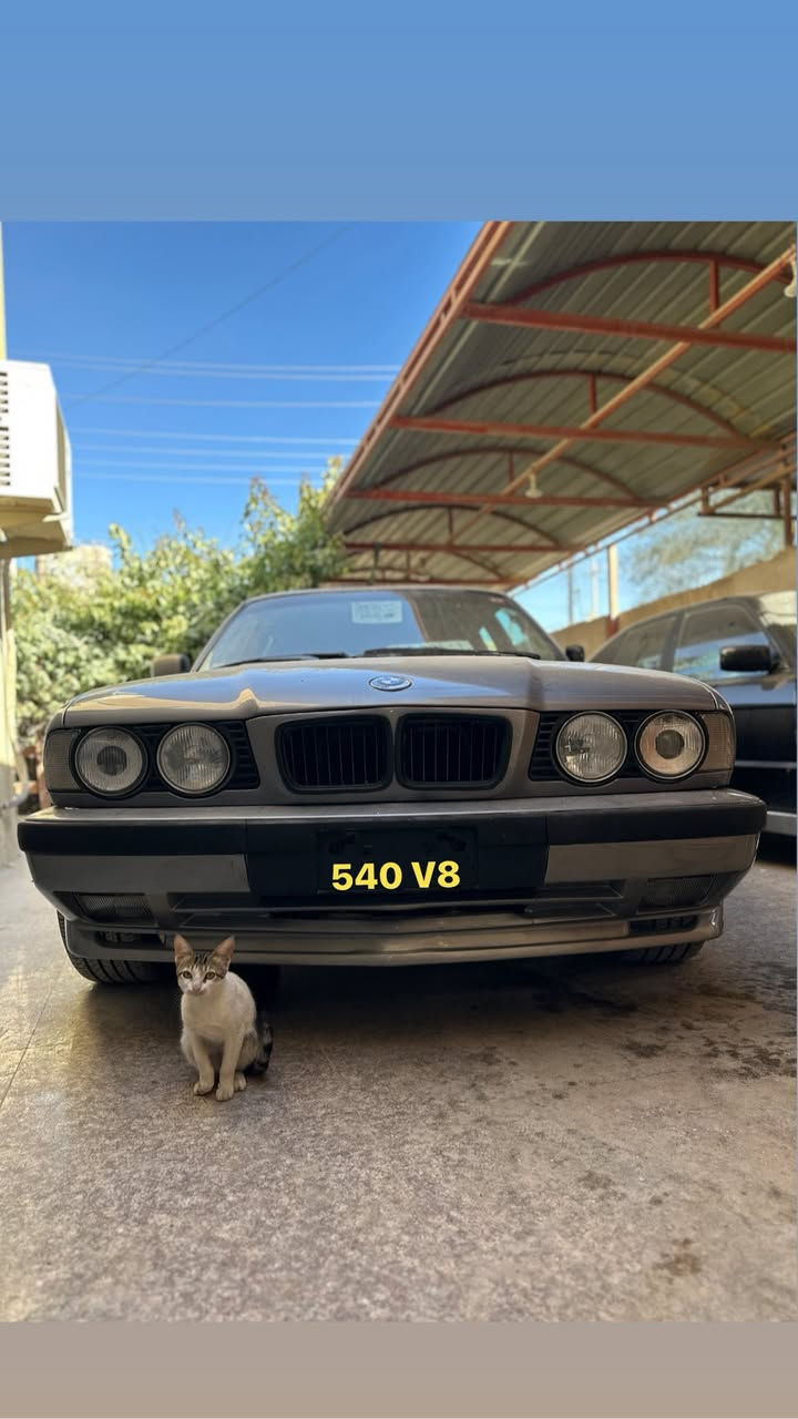 السلام عليكم 
للبيع 540 اصل 8 سلندر رقم بغداد 
سياره وارد يابان مكينه وكير مال حاويه 
حداده كلهه جديده كهربائيات كله شغاله تبريد ثلج 
صبغ جديد هسه مصبوغه كشنات جدد كلش غرفه كلش حلوه 
ويل M اصلي حجم 18 السعر بلاش 70$ وبيه مجال لشراي الاستفسار اتصل ***********
