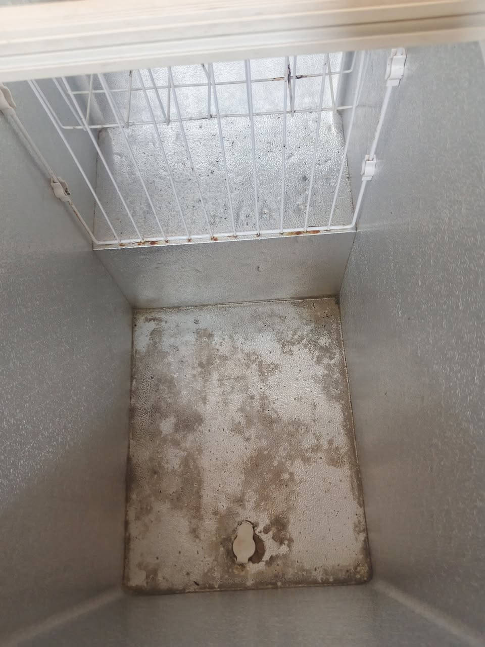 مجمده رويال للبيع شرط الشغل تجي وتفحص مكاني بغداد الشعله السعر 130قفل ***********
