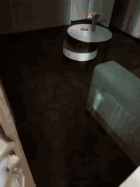 شقق مؤثثه VIPللإيجار الشهري مع خدمه نت وكهرباء مستمر/المنصور 14رمضان ل...