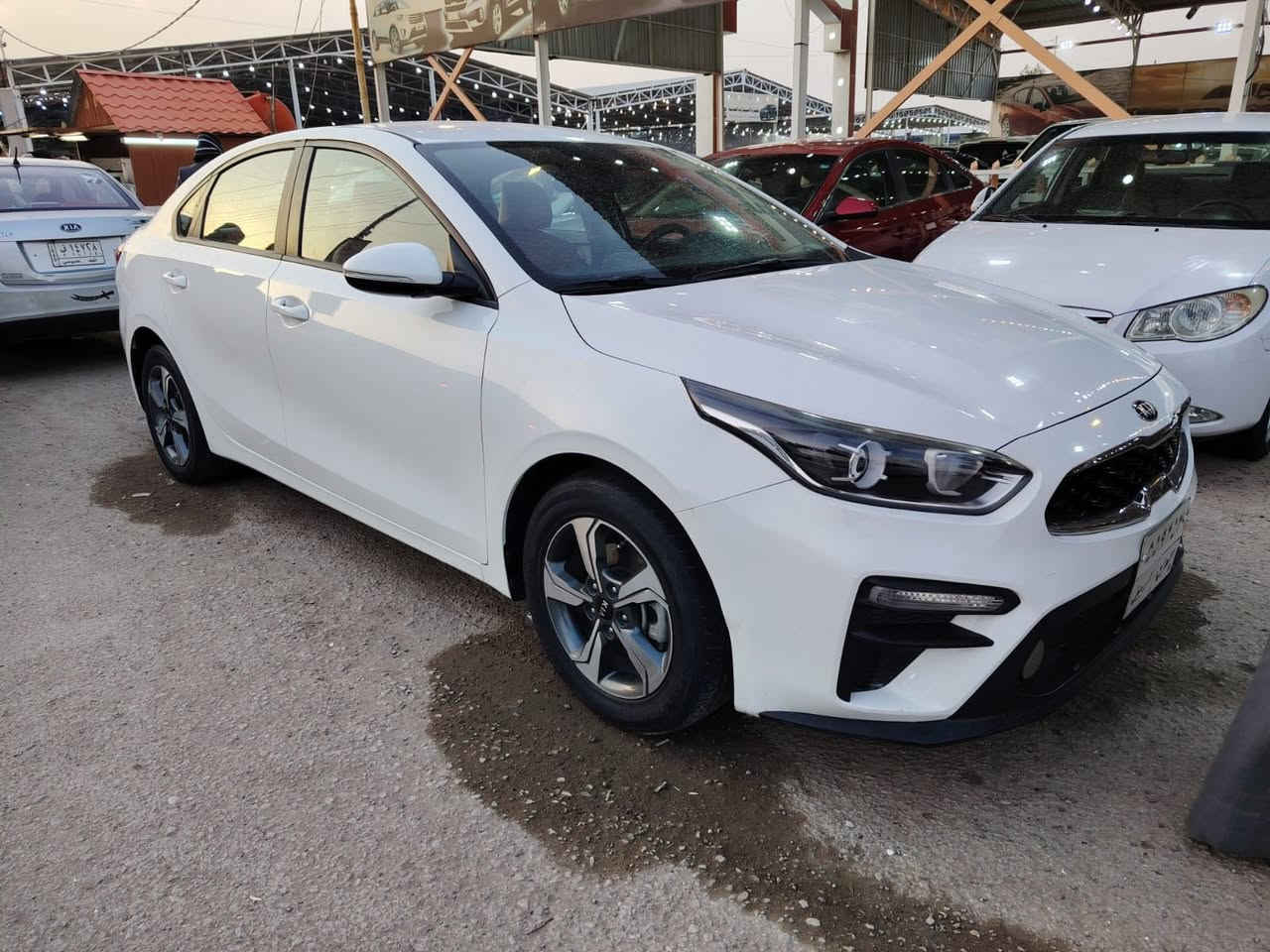 السلام عليكم 
سيراتو  مكفوله بيه بس بقبق جنطه صبغ وباقي كفاله فول عده فتحه جلد ومري شفط تبريد خلفي خمسه ويلكب ما عايزه كلشي سياره جاهزه  لخير مكاني نجف سعر ١٤٥ بيه مجال بصيط 
***********
مكلف بل نشر
