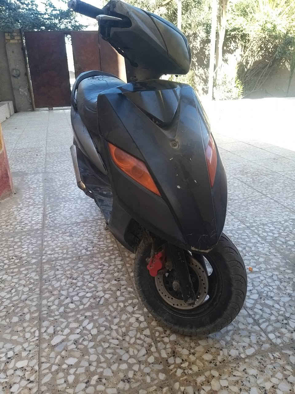 ماكس ثعلب سعر على خاص


**إذا كنت صاحب هذا الإعلان وتريد حذفه لأي سبب، رجاءا أرسل رسالة إلى الدعم الفني**