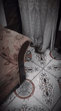 سلام عليكم من رخصت الادمن. دراجه سيب فور. 400 16ولف الجيل الاول كفاله شرط نكره سلف 123بطناش عقل رياضي دبل فصله  دراجه تاخذه ماتخسر عليه دينار. وبلواقع احلا من صوره كمرك مدفوع تعبر اي سيطر وانت مئمن سعر خاص رجائا المو شراي لايكسر بسعره.. رقم جهازي. ***********
