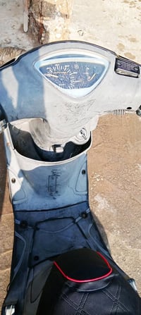 ماكس عدلة • كفالة عامة • ختم واحد