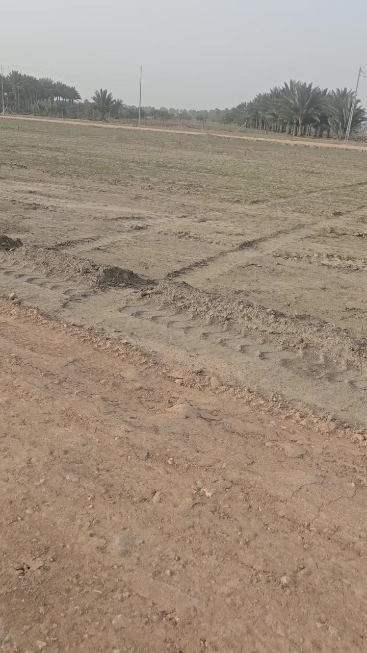 ١٠٠٠ للبيع طابو زراعي سند ٢٥. قرب علويه شريفه بنت الحسن  ***********
