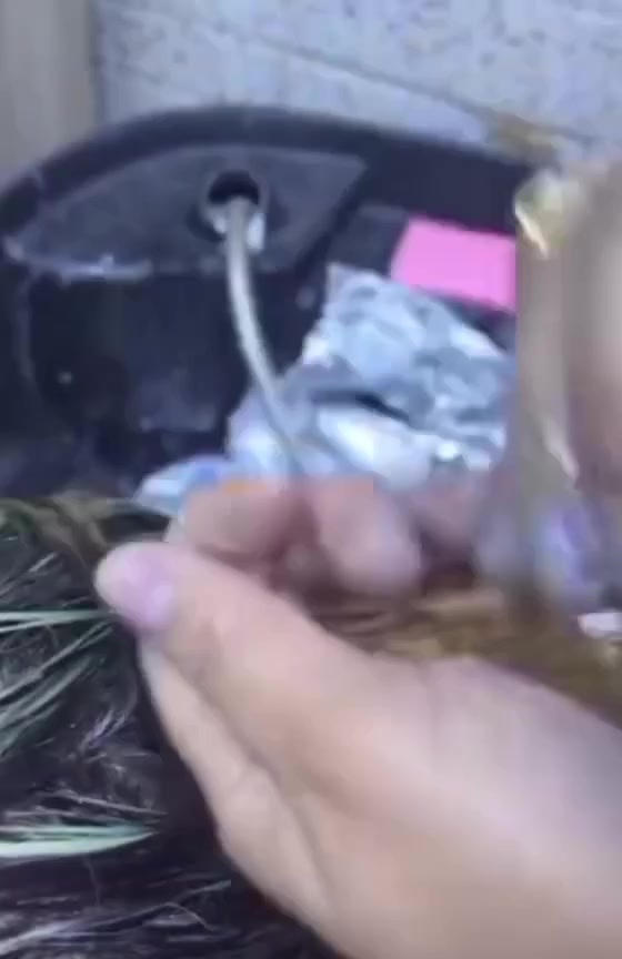 رنز اخضر العجيب
سعر 10الف
للحجز السريع مراسلتي خاص 
متابعه لصفحتي بدربج وشوفي استوري☺️🫶


**إذا كنت صاحب هذا الإعلان وتريد حذفه لأي سبب، رجاءا أرسل رسالة إلى الدعم الفني**