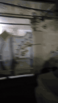 سلام عليكم اخوان بيت البيع حي الحكيم مساحه ٢٠٠  متر عكاده طابقين عله ساحه قرب سنتر ذي قار  عل سريع سعر ٢٢٥ رقم ***********٨
