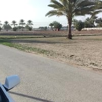 دونم طابو • سند 25 • شريفه ابي غرق