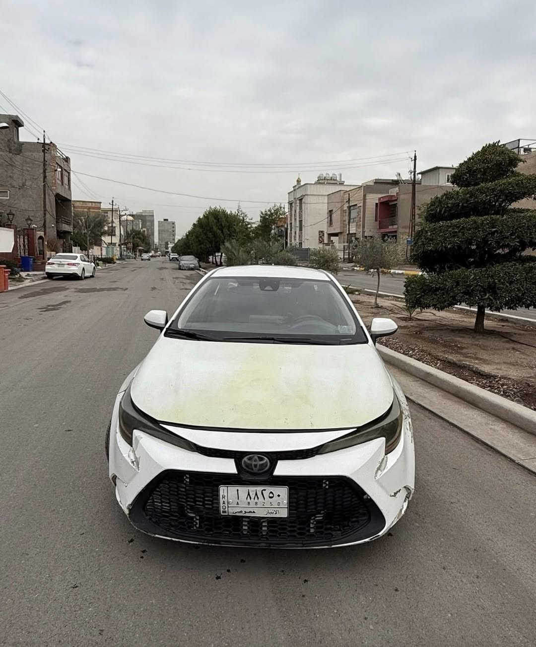 كورلا ٢٠٢٠ وارد امريكي ربها كامز
محتاج فلوس 
سعر ٧٥ نقد عاجل

رقم 

+964 770 188 1287


**إذا كنت صاحب هذا الإعلان وتريد حذفه لأي سبب، رجاءا أرسل رسالة إلى الدعم الفني**