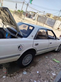 شيزر • ٩١ • دواخل جديدة
