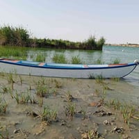 ١٢ذراع • جديد • هارثه