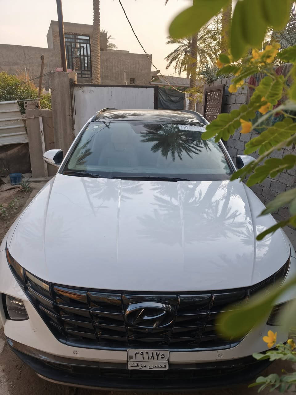 السلام عليكم توسان لمتد ابيض داخل ابيض 2023 بدون رقم  ماشيه 13 ميل بجم كبس بيه بابين صبغ ومكانين تعديل بارد السياره جديده مواصفات 🔥
بنوراما كشن كهرباء تدفئه تبريد 4 كامرات تقديم وترجيع بالريموت شتريد مواصفات بيه معروفه مواصفات اللمتد   مكاني حله  
*********** بي واتساب
