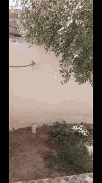 ناحية الصلاحية • ٣٠٠م • ٤ غرف