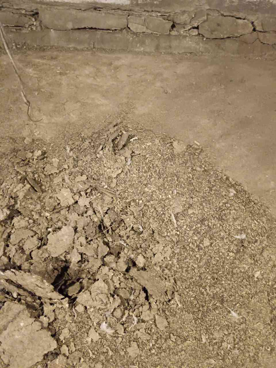 السلام عليكم
عندي اعلاف دواجن ترهم سماد للزرع وترهم علف للاغنام عندي 100جيس  
مكاني طريق نجف كربلاء عمود 930
سعر الجيس ب٢٥٠٠ للتواصل ***********
