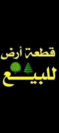 حي الحوراء • طابو صرف • ٢٥٠م
