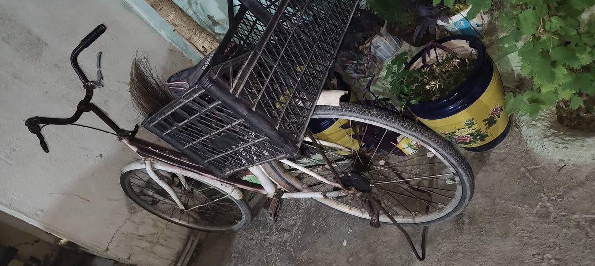 باسكيل حجم٢٦ شغال للبيع سعره ٣٥


**إذا كنت صاحب هذا الإعلان وتريد حذفه لأي سبب، رجاءا أرسل رسالة إلى الدعم الفني**