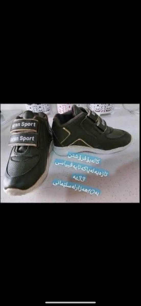 ئەم ئەشیانە بۆ فرۆشتن سلێمانی قرگە.


**إذا كنت صاحب هذا الإعلان وتريد حذفه لأي سبب، رجاءا أرسل رسالة إلى الدعم الفني**