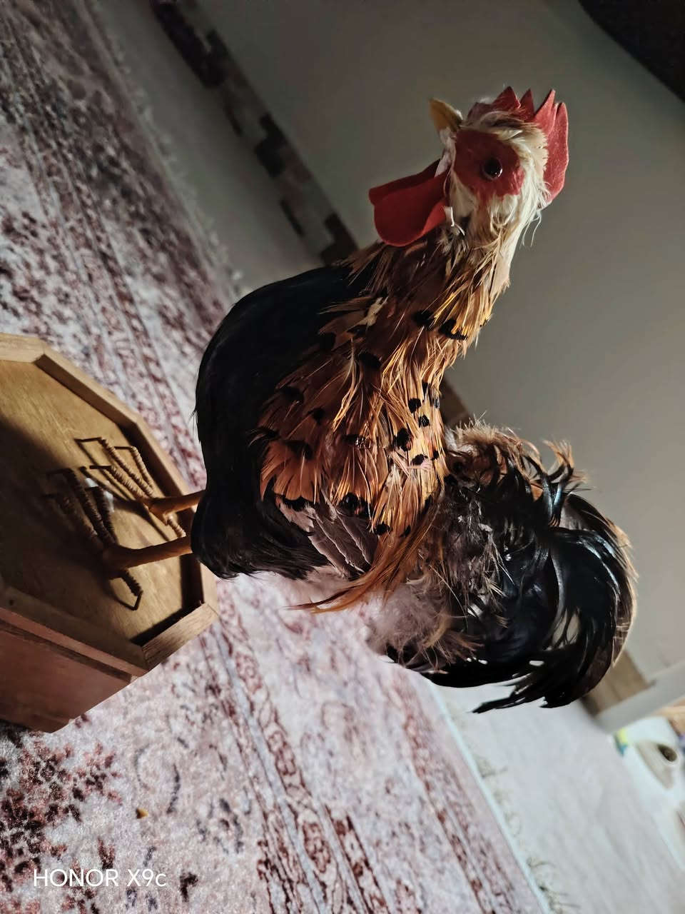 ٢٥ الف مع توصيل


**إذا كنت صاحب هذا الإعلان وتريد حذفه لأي سبب، رجاءا أرسل رسالة إلى الدعم الفني**