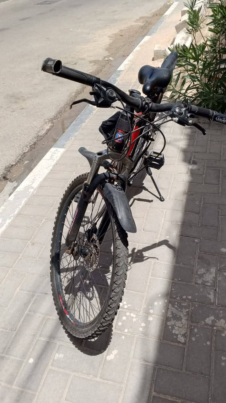 السلام عليكم باسكلات عدد 2
للبيع سعر الحمر الجبلي 90
نضيف جاهز من كلشي ماعده مفتاح السرج 
والسياحي رايده 50
وبيهن مجال لطيبين 
عنوان بصره القبله 
رقم الهاتف ***********
