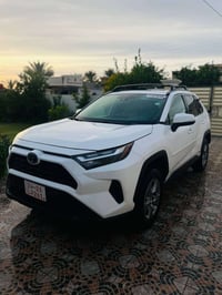 راف فور هايبرد • ٢٠٢٤ • رقم اربيل