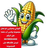 ذرة سائب • صوامع العقبة • البصرة