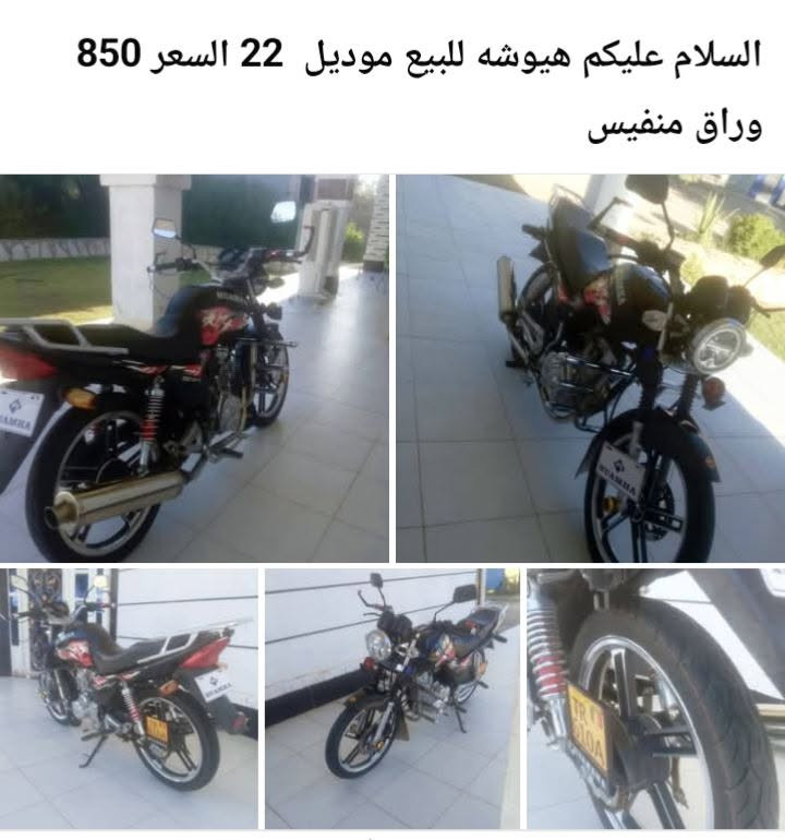 وكان رمادي


**إذا كنت صاحب هذا الإعلان وتريد حذفه لأي سبب، رجاءا أرسل رسالة إلى الدعم الفني**