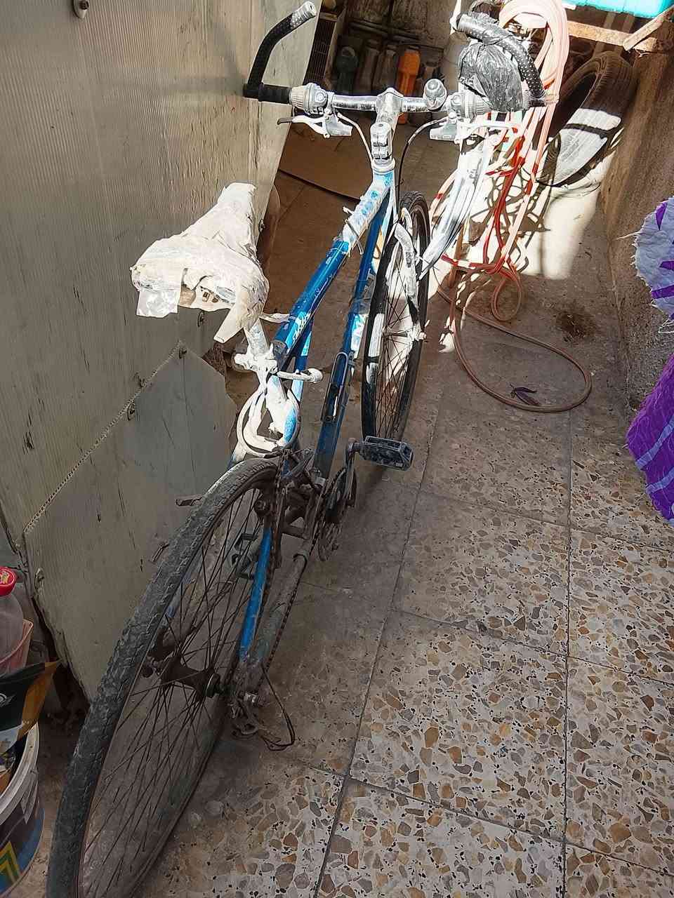 باسكل للبيع رياضي c700 للبيع متروك يتصلح بـ 15 الف 
الباسكل كامل وية غراضة قيم واخذ المكان الحرية الدباش للاستفسار خاص


**إذا كنت صاحب هذا الإعلان وتريد حذفه لأي سبب، رجاءا أرسل رسالة إلى الدعم الفني**