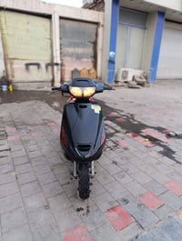 فرشه فحل • معدل فول • نجف