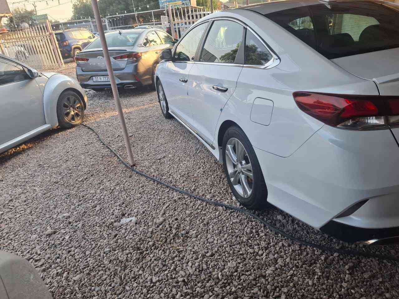 سلام عليكم سوناتا 19 امريكي فول موصفات رقم بابل انكليزي بسمي سنوية ل30 محرك مكفول من لتنقيص ولتبخير برغي مامفتوح بي كير مكفول تبريد تدفئة كهربائيات  مابيهة نقص بس حداية نص عمر لباقي كلة مكفول  مكاني كربلا قرب مستشفئ لكفيل رقمي *********** كربلاء, العراق
