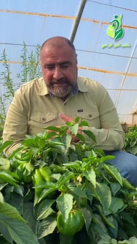 ثمار نظيفة • عضوية • بغداد اليوسفية