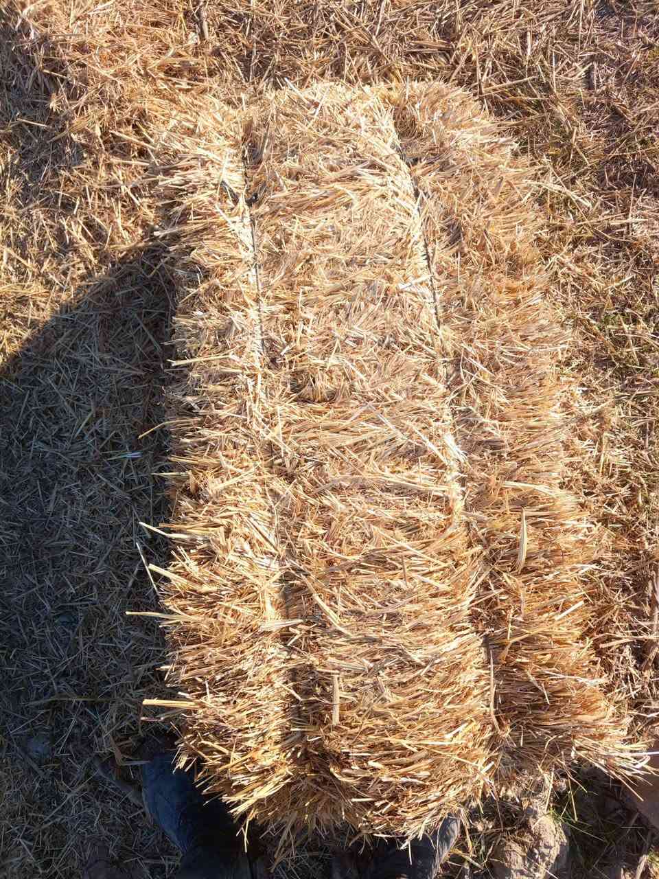 السلام عليكم تبن ستندر للبيع طول الكبسه متر المكان واسط قضاء النعمانيه الاستفسار اتصل ***********
