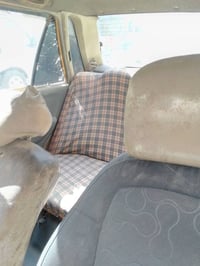 بدون راعي. سعر 12 ورقه.  رقم 07700252412