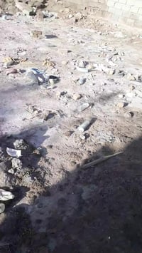 طابو زراعي • ٢٤٧م • المهناوية