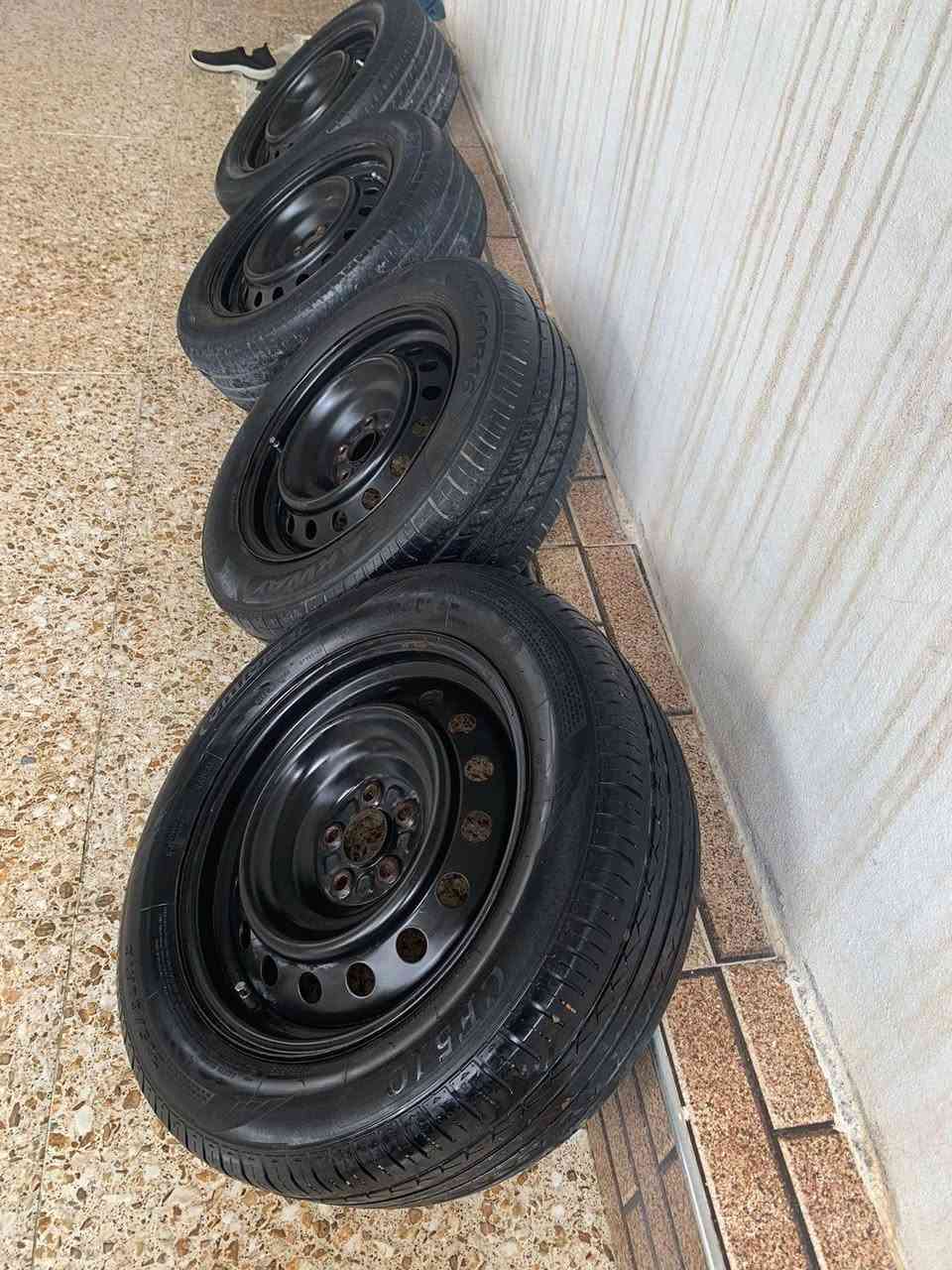 للبيع او مراوس تخم ويل  حجم 16 /60 جاهزات بس شد السعر ١٦٠ الف وبي مجال شراي تعال أخذهم *********** وتساب
