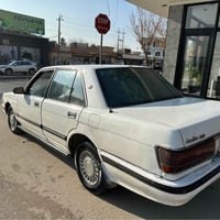 السليمانية • أوراق كاملة • تأمين