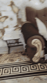 ١٠ مقاعد • كنب • بغداد الدوره ابو دشير