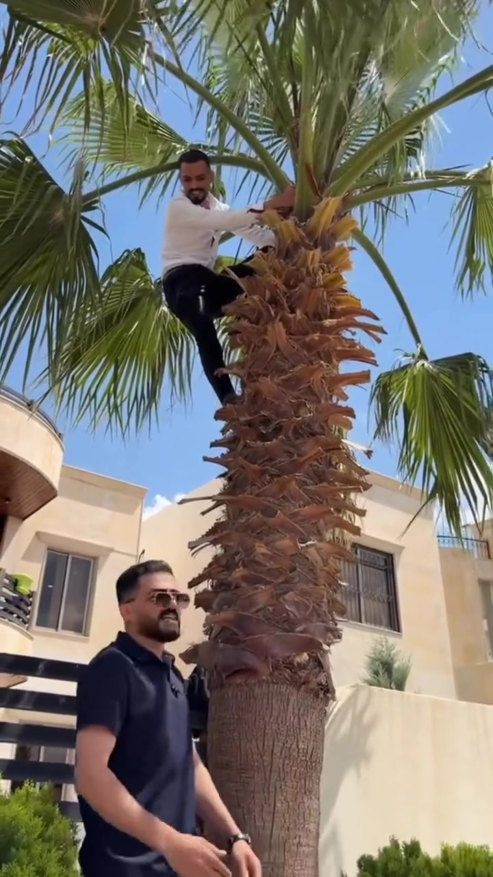 السعر والفديو كامل هنا 👈🏻 https://t.me/erbilSh88


**إذا كنت صاحب هذا الإعلان وتريد حذفه لأي سبب، رجاءا أرسل رسالة إلى الدعم الفني**