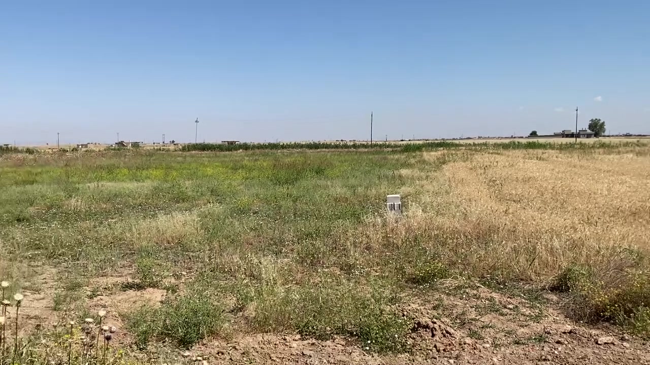 السلام عليكم ارض زراعيه للبيع طريق العباسي قرب محطه الجاسم أربع دوانم للتفاصيل اكثر /***********

