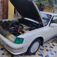 معجون • سنوّية مجددة • ميسان
