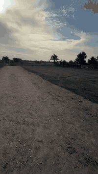 طابو زراعي • ٢١٦٦م • شارع السيدة شريفه