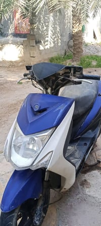 سكنس فحل • الكزوز طاك • ابو الخصيب