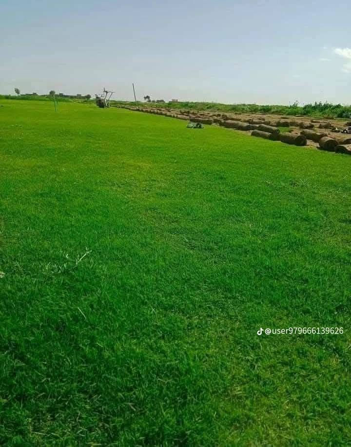 ثيل ديالى الطبيعي وخضار ولا اروع 💚
نتوفر كافة انواع الثيل الطبيعي 
مستعدون لتجهيز كافة الدوائر الحكومية والمتنزهات والحدائق العامة والمنازل .
نوعية ممتازة ودرجه اولى ⁦1️⃣⁩
ودائم الخضره 

ثيل #هندي  #امريكي   #ايطالي الخ ...

اسعارنا الانسب وتوصيلنا الاسرع  لكافة محافظات العراق
لمعرفة المزيد راسل الصفحه اوالاتصال على الارقام  ***********/***********
