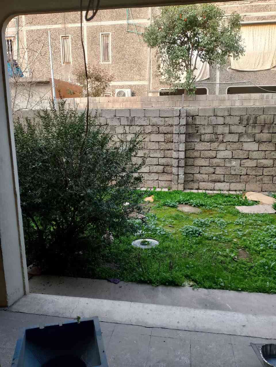 السلام عليكم شقه لليجار في شقق الخظراء على الشارع العام موقع مميزه مساحه 200متر غرفتين هول مطبخ صحيات وستقبال التواصل ***********اسيا ***********
