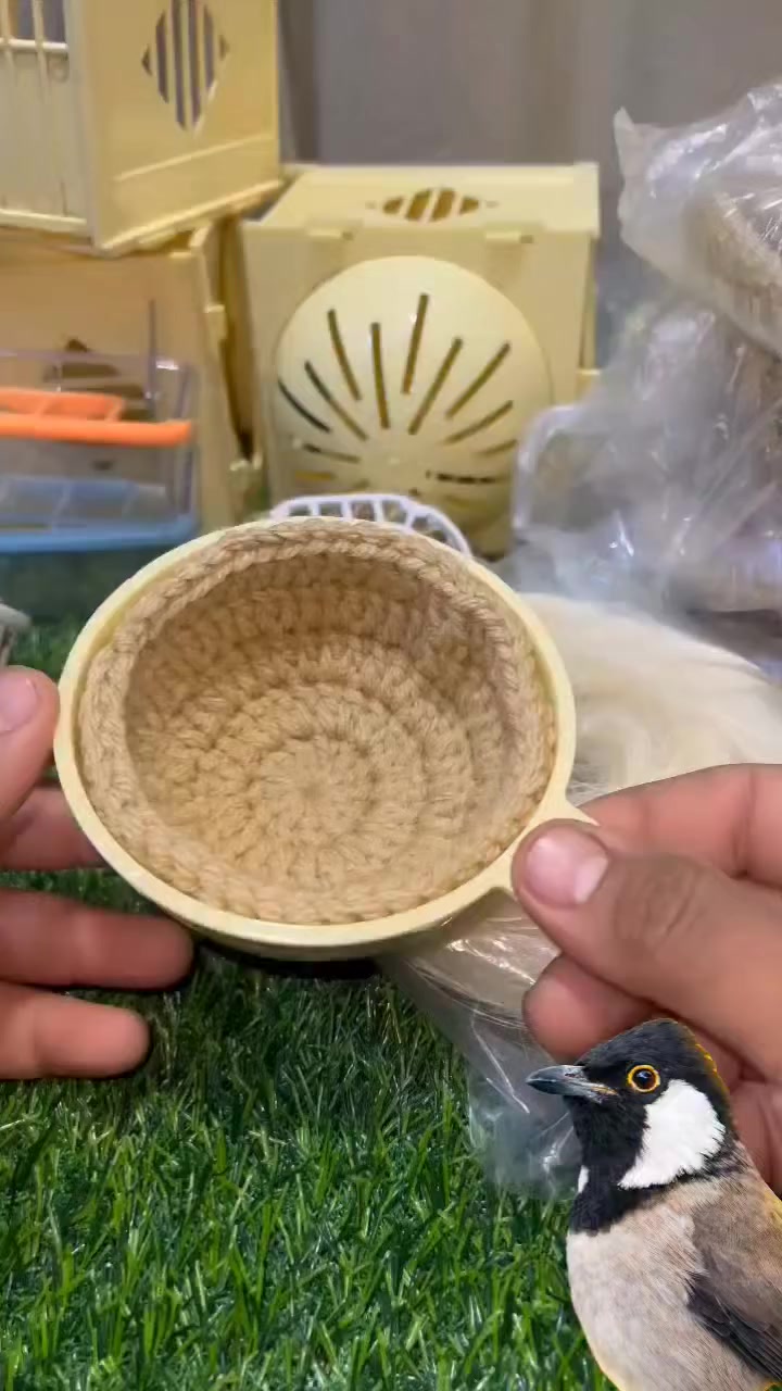 محتوى متخصص في البلابل 🐦
تربية • تغذية  
📩 راسلنا الآن للتفاصيل ***********
🚚 توصيل متوفر
⏰ جمله ومفرد 
✅ جودة مضمونة
العنوان النجف الكوفه علوه الفحل
