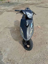 ماكس • عدله • شغالة