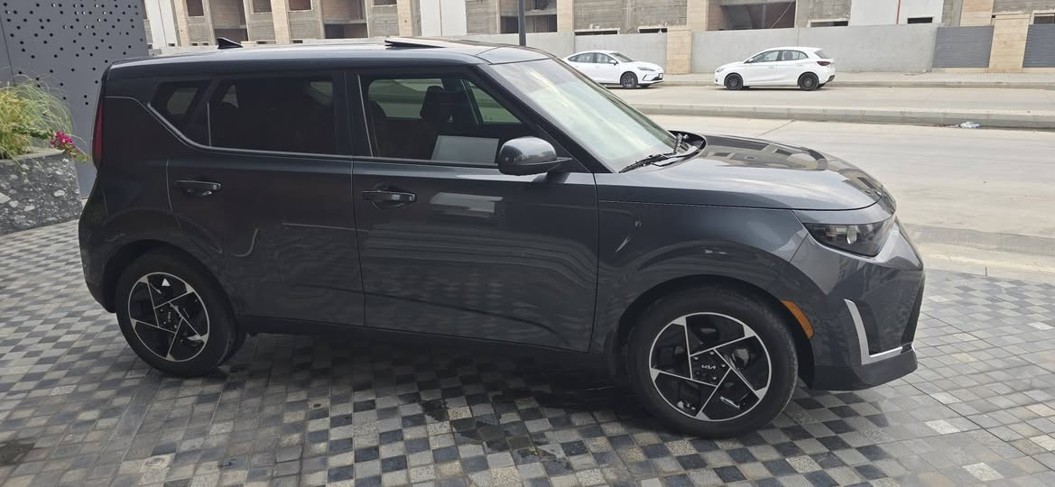 EX فول مواصفات محرك
محؤك 2000   دوش  مرغوب 
قليل يجي بسول صندوك كهرباء و تشغيل عن بعد  هاي بيه اخواني سياؤة مال جناي وبجم كبس  ضرر بابين اصليات صبغ وشغل درجة اولا مال جناي  تترقم  سليمانية واربيل سونر مرفق موقع بسليمانية 
*********** السليمانية, العراق
